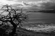 Enlarge photo 23