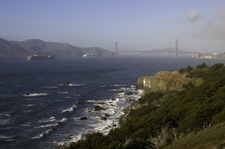 Enlarge photo 452
