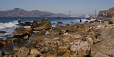 Enlarge photo 448
