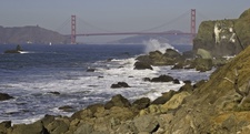 Enlarge photo 447