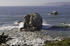 Enlarge photo 445