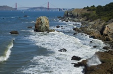 Enlarge photo 443