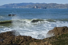 Enlarge photo 442