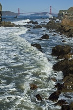 Enlarge photo 441