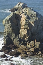 Enlarge photo 440