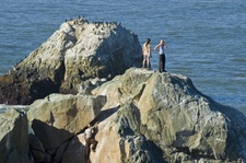 Enlarge photo 439
