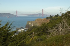 Enlarge photo 428