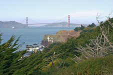 Enlarge photo 429