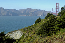 Enlarge photo 464