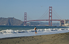 Enlarge photo 463
