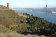 Enlarge photo 460