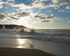 Enlarge photo 264