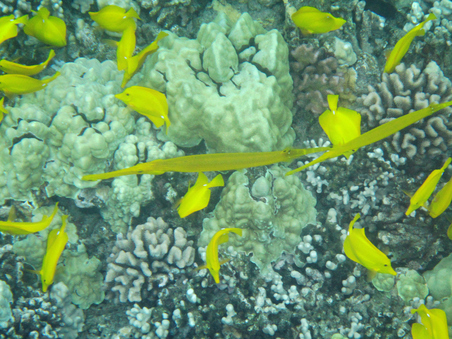 Enlarge photo 30