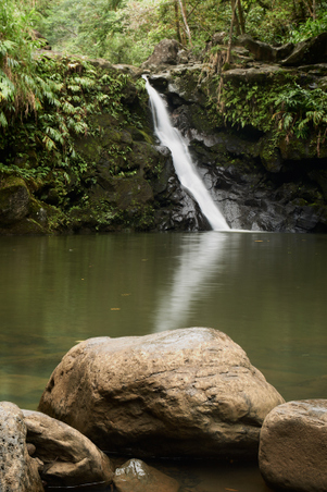 Enlarge photo 7