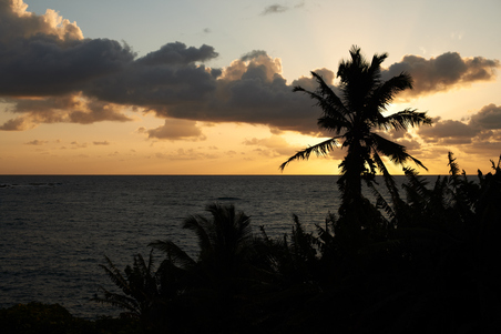 Enlarge photo 43
