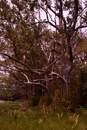 Enlarge photo 18