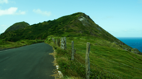 Enlarge photo 42