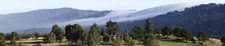 Enlarge photo 176