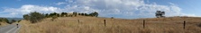 Enlarge photo 161
