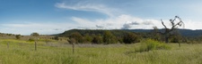 Enlarge photo 189