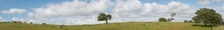 Enlarge photo 204