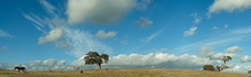 Enlarge photo 211