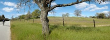 Enlarge photo 226
