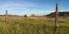 Enlarge photo 185