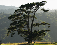 Enlarge photo 156