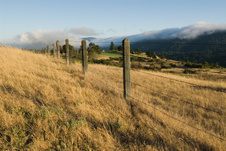 Enlarge photo 159