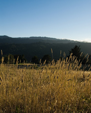 Enlarge photo 155