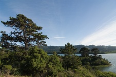 Enlarge photo 137