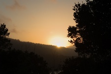 Enlarge photo 142