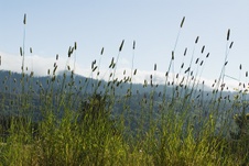 Enlarge photo 143
