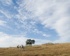 Enlarge photo 149