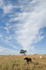 Enlarge photo 148