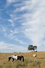 Enlarge photo 147