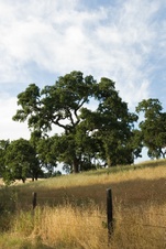 Enlarge photo 145