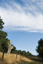 Enlarge photo 144