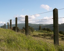 Enlarge photo 186