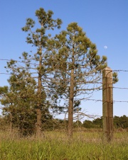 Enlarge photo 187