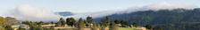 Enlarge photo 154