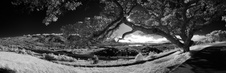 Enlarge photo 248