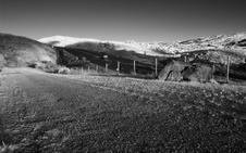 Enlarge photo 247