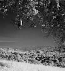 Enlarge photo 246