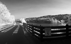 Enlarge photo 245