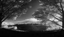 Enlarge photo 252