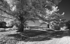 Enlarge photo 258