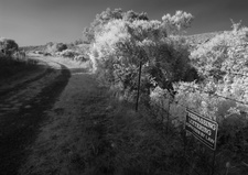 Enlarge photo 256