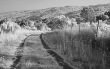 Enlarge photo 255